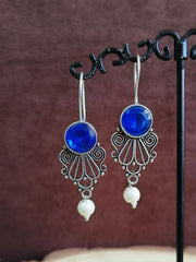 Stone Studded Hook Earrings | Sarichka