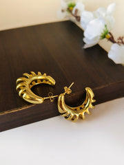 Golden Hoop Earrings