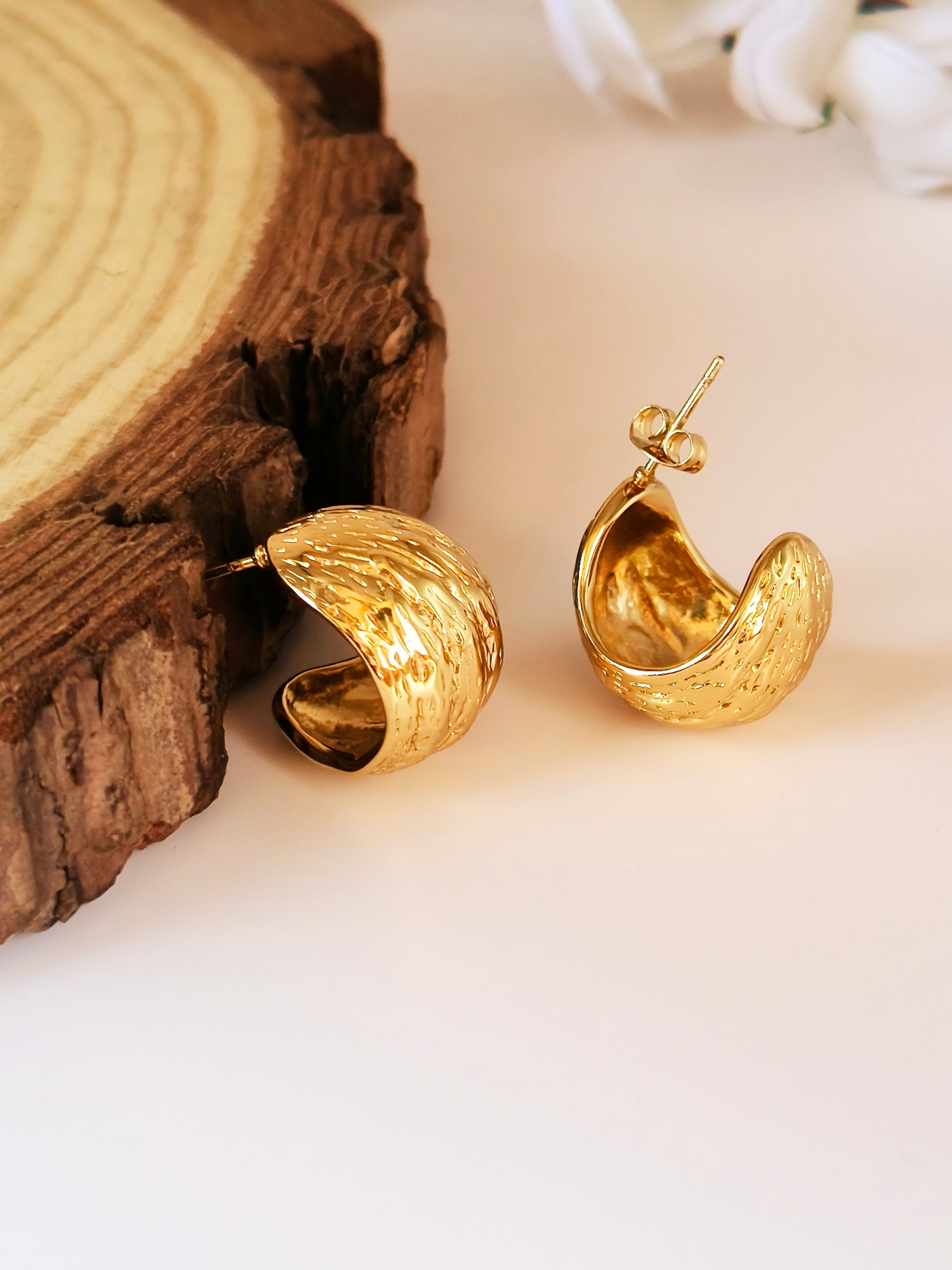 Golden Hoops Earrings 