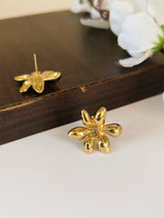 Golden Stud Earrings